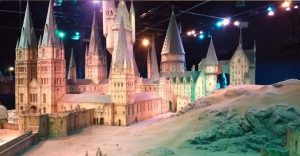 Viaje de Down Madrid a Londres con Harry Potter