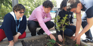 Emprendimiento Medioambiental